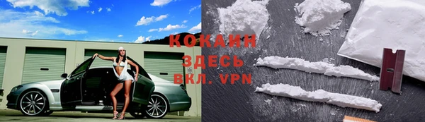 амф Аркадак