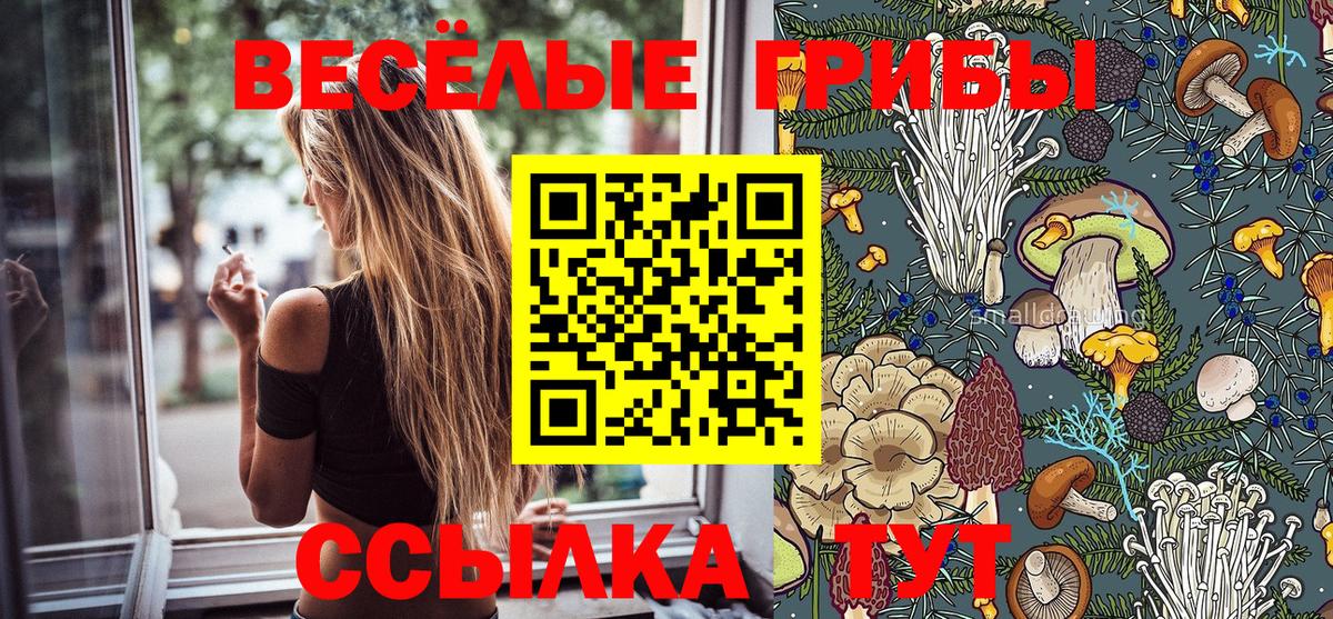 как найти наркотики  Галлюциногенные грибы прущие грибы  Псилоцибиновые грибы прущие грибы  Вход с VPN  Лянтор 